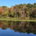 The Best Parks in Reston, VA: A Guide for Visitors