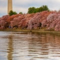 What is the Population of Reston, VA?
