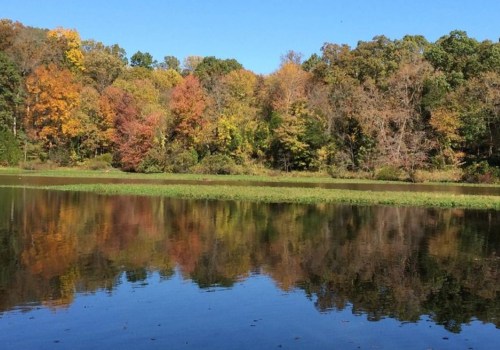 The Best Parks in Reston, VA: A Guide for Visitors